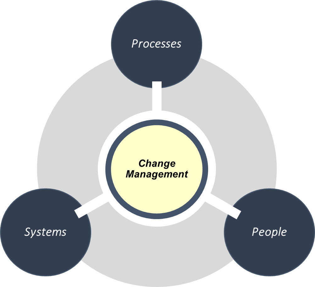  Fig. 1 Transformation of systems, processes and people 